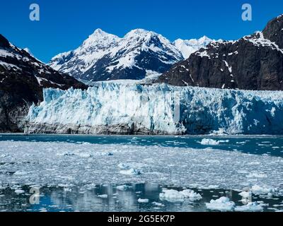 Margerie Glacier, ein in den Glacier Bay National Park, Alaska, USA, zurückziehende Gletschergletscher Stockfoto