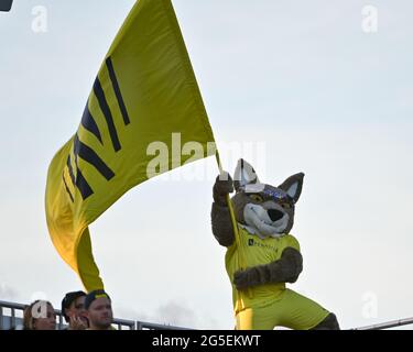 Nashville, TN, USA. Juni 2021. Nashville Soccer Mascot, Tempo The Coyote während des MLS-Spiels zwischen CF Montreal und Nashville SC im Nissan Stadium in Nashville, TN. Kevin Langley/CSM/Alamy Live News Stockfoto