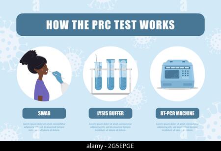 Funktionsweise des PCR-Tests. Laboranalyse von Biomaterialien mit Nasenabstrich. Covid19 Coronavirus-Test-Infografik. Afrikanerin wird medizinisch aufgenommen Stock Vektor