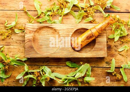 Duftende Linde in einem Holzmörtel und Stößel. Blüten und Blätter von Linde. Kräutermedizin. Stockfoto