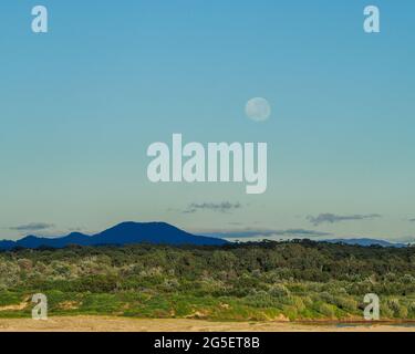 Wunderschöne australische Küstenlandschaft, Tagesmond, blauer Himmel am Morgen, Sonnenlicht, das die Eukalyptus-Kaugummi-Bäume im Busch erleuchtet, blaue Hügel Stockfoto