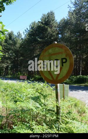 Stoppschild in Rendlesham Forest UFO bei RAF Woodbridge USAF-Station Suffolk England UK Aliens Aliens Wald Holz Holz Holz Schild Militärpolizei Stockfoto