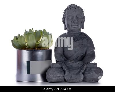 Graue Buddha-Statue aus Keramik, neben der Blechdose mit einer Sukkulente stehend. Isoliert auf weißem Hintergrund. Stockfoto