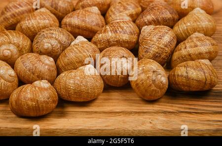 Nahaufnahme von zwei Dutzend Escargot Land Schneckenschalen auf braunem Eichenholz Schneidebrett Hintergrund, High-Angle-Ansicht Stockfoto