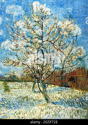 Vincent Van Gogh - Pfirsichbäume Blüte 1888 Stockfoto