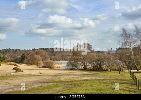 Scenery at Frensham Great Pond, Frensham Common, Waverley, Surrey, Großbritannien, Mit See und Sandstrand, einem lokalen Beauty-Spot und Erholungsgebiet Stockfoto