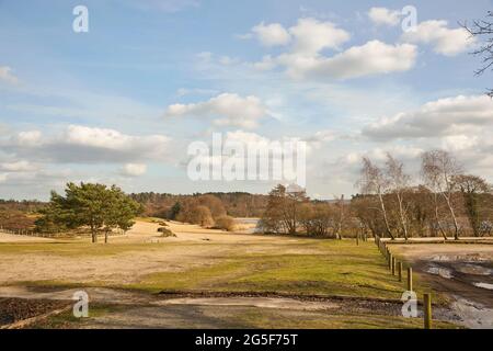 Scenery at Frensham Great Pond, Frensham Common, Waverley, Surrey, Großbritannien, Mit See und Sandstrand, einem lokalen Beauty-Spot und Erholungsgebiet Stockfoto