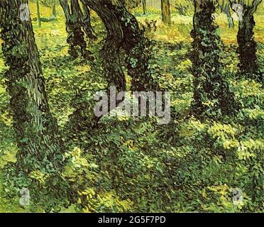 Vincent Van Gogh - Trunks Bäume mit Ivy 1889 Stockfoto