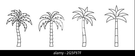 Palmensymbol. Satz linearer Kokosnussbaum-Symbole. Vektorgrafik. Palm-Vektor-Symbole. Schwarze lineare Handflächensymbole Stock Vektor