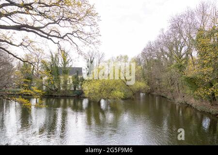 Ein einsames Haus an der Weißen Elster in Leipzig im Park im Frühjahr Stockfoto