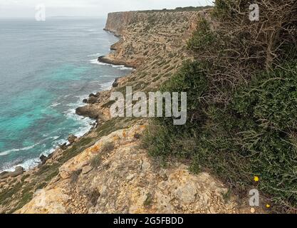 Cap Blanc, Mallorca, Balearen Stockfoto