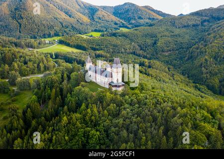 Luftaufnahme auf einem romantischen Märchenschloss in Berg mit Wald Stockfoto