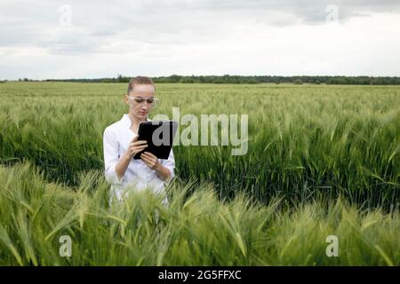 Junge Ökologin in einer Brille, die im grünen Feld steht und an einem transparenten Glasschirm arbeitet. Stockfoto