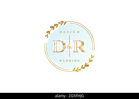 DR Beauty Monogramm und elegantes Logo Design Handschrift Logo der ersten Unterschrift, Hochzeit, Mode, Blumen und botanische mit kreativen Vorlage. Stock Vektor