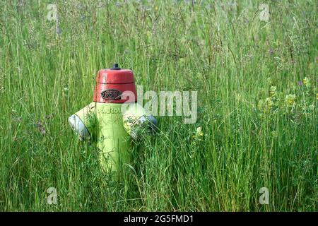 Hellgrüner Hydrant mit EINEM roten Kopf einsam auf EINER grünen Wiese. Fehraltorf, Schweiz Stockfoto