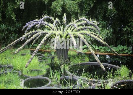 Internationales Gartenfestival, Chateau de Chaumont, Pays de la Loire, Frankreich, Europa Stockfoto