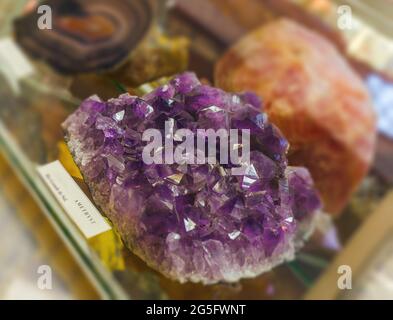 Amethyst Kristallbürste Druse im Mineralogiemuseum Stockfoto