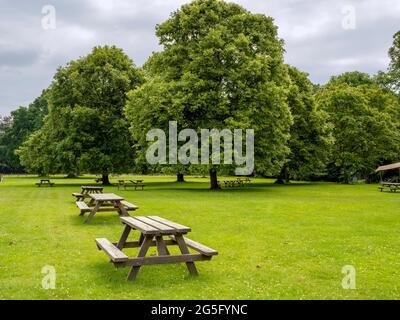 Hölzerne Picknicktische auf einem Feld in einem Park Stockfoto