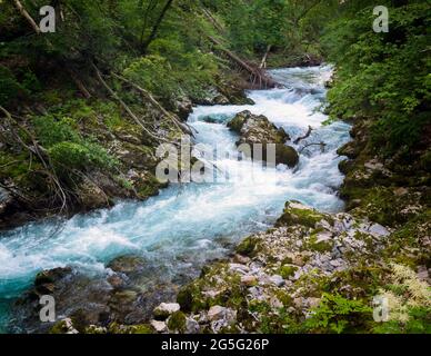 Der Radovna-Fluss rauscht durch die Vintgar-Schlucht bei Bled, Oberkrain, Slowenien. Die Schlucht befindet sich im Triglav Nationalpark. Stockfoto