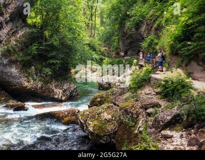 Der Radovna, der durch die Vintgar-Schlucht bei Bled, Oberkrain, Slowenien, fließt. Die Schlucht befindet sich im Triglav Nationalpark. Besucher gehen weiter Stockfoto