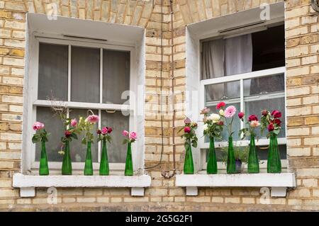 Grüne Flaschen mit Blumen auf der Außenseite von zwei Fenstern eines englischen Hauses Stockfoto