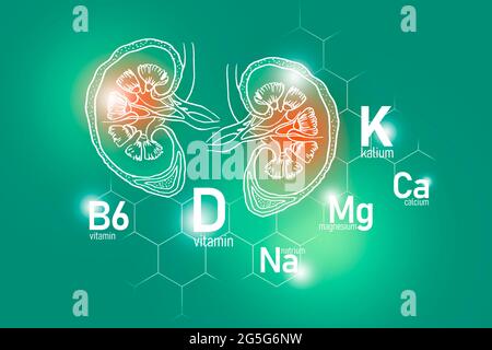 Essentielle Nährstoffe für die Gesundheit der Nieren einschließlich Natrium, Magnesium, Vitamin B6, Kalzium. Design-Set der wichtigsten menschlichen Organe mit Vitaminen Stockfoto