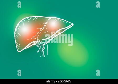Handgezeichnete Illustration der menschlichen Leber auf hellgrünem Hintergrund. Medizin, Wissenschaftsset mit menschlichen Hauptorganen mit leerem Kopierraum für Text Stockfoto