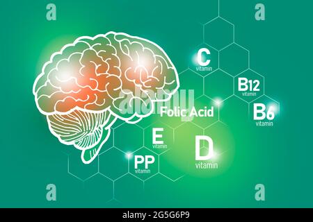 Essentielle Nährstoffe für die Gesundheit des Gehirns, einschließlich Vitamin C, Vitamin B, Folsäure, Vitamin PP. Design-Set der wichtigsten menschlichen Organe mit Vitaminen Stockfoto