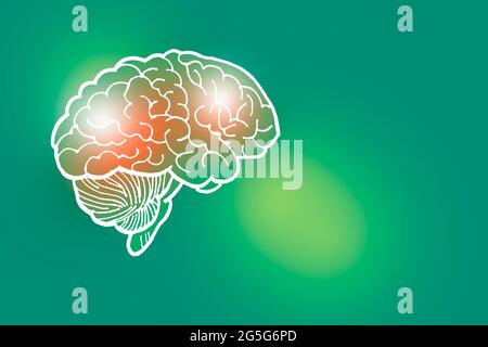 Handgezeichnete Illustration des menschlichen Gehirns auf hellgrünem Hintergrund. Medizin, Wissenschaftsset mit menschlichen Hauptorganen mit leerem Kopierraum für Text Stockfoto