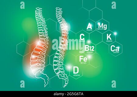 Essentielle Nährstoffe für die Gesundheit der Wirbelsäule einschließlich Magnesium, Vitamin B12, Kalzium, Ferrum.Design-Set von menschlichen Organen auf hellgrünem Hintergrund. Stockfoto
