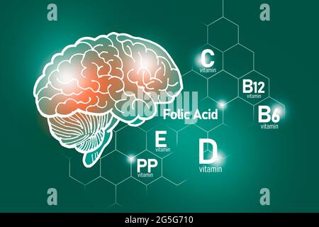 Essentielle Nährstoffe für die Gesundheit des Gehirns, einschließlich Vitamin C, Vitamin B, Folsäure, Vitamin PP. Design-Set der wichtigsten menschlichen Organe mit Vitaminen Stockfoto