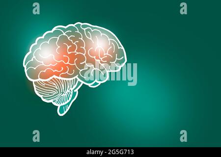 Handrawn Illustration des menschlichen Gehirns auf tiefgrünem Hintergrund. Medizin, Wissenschaftsset mit menschlichen Hauptorganen mit leerem Kopierraum für Text Stockfoto