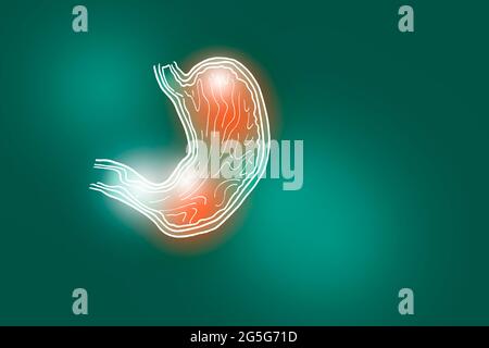 Handgezeichnete Illustration des menschlichen Magens auf tiefgrünem Hintergrund. Medizin, Wissenschaftsset mit menschlichen Hauptorganen mit leerem Kopierraum für Text Stockfoto