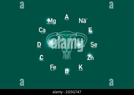 Stilisiertes Ziffernblatt mit lebenswichtigen Vitaminen und Mikroelementen für die menschliche Gesundheit, handgezeichneter Gebärmutter, tiefgrüner Hintergrund. Stockfoto