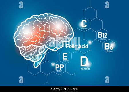 Essentielle Nährstoffe für die Gesundheit des Gehirns, einschließlich Vitamin C, Vitamin B, Folsäure, Vitamin PP. Design-Set der wichtigsten menschlichen Organe mit Vitaminen auf blau Stockfoto