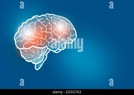 Von Hand gezeichnete Illustration des menschlichen Gehirns auf dunkelblauem Hintergrund. Medizin, Wissenschaftsset mit menschlichen Hauptorganen mit leerem Kopierraum für Text Stockfoto