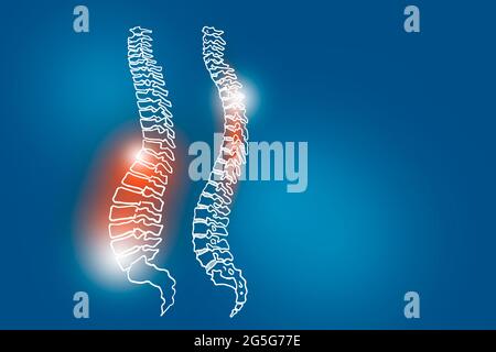 Von Hand gezeichnete Illustration der menschlichen Wirbelsäule auf dunkelblauem Hintergrund. Medizin, Wissenschaftsset mit menschlichen Hauptorganen mit leerem Kopierraum für Text Stockfoto