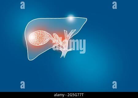 Von Hand gezeichnete Illustration der menschlichen Gallenblase auf dunkelblauem Hintergrund. Medizin, Wissenschaftsset mit menschlichen Hauptorganen mit leerem Kopierraum für Text Stockfoto