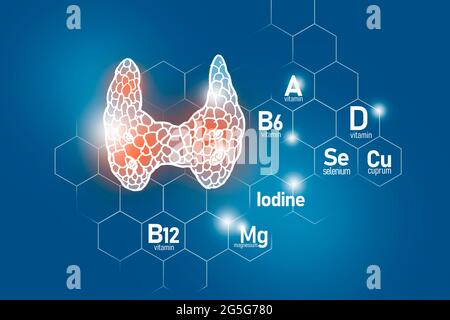 Essentielle Nährstoffe für die Gesundheit der Schilddrüse, einschließlich Jod, Selenuim, Vitamin B6, Cuprum. Design-Set von menschlichen Organen mit Vitaminen auf blau Stockfoto