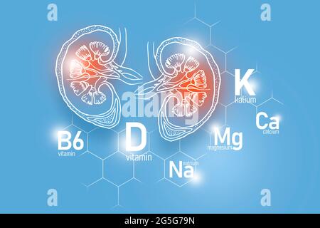 Essentielle Nährstoffe für die Gesundheit der Nieren einschließlich Natrium, Magnesium, Vitamin B6, Kalzium. Design-Set der wichtigsten menschlichen Organe mit molekularem Gitter Stockfoto