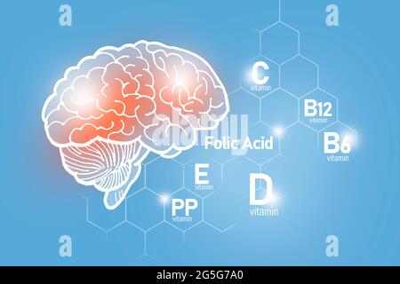 Essentielle Nährstoffe für die Gesundheit des Gehirns, einschließlich Vitamin C, Vitamin B, Folsäure, Vitamin PP. Design-Set der wichtigsten menschlichen Organe auf blauem Hintergrund Stockfoto