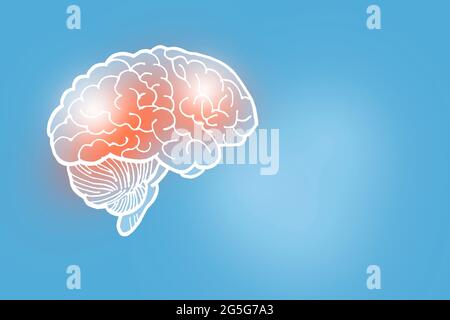 Von Hand gezeichnete Illustration des menschlichen Gehirns auf hellblauem Hintergrund. Medizin, Wissenschaftsset mit menschlichen Hauptorganen mit leerem Kopierraum für Text Stockfoto