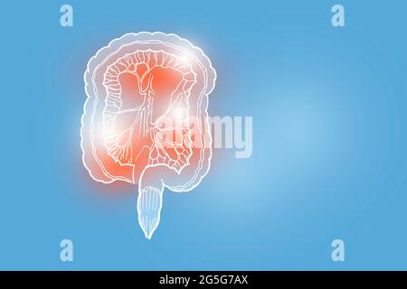 Handgezeichnete Darstellung des menschlichen Darms auf hellblauem Hintergrund. Medizin, Wissenschaftsset mit menschlichen Hauptorganen mit leerem Kopierraum für Text Stockfoto