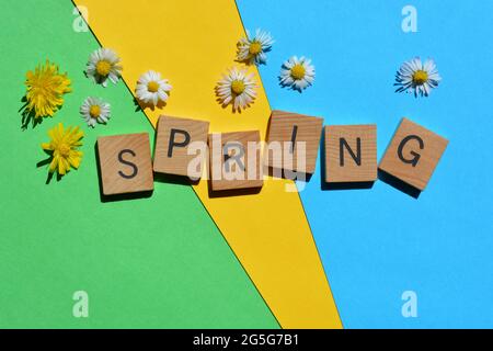 Frühling, Wort in Holzbuchstaben isoliert auf buntem Hintergrund, verziert mit weißen und gelben Blumen. Stockfoto