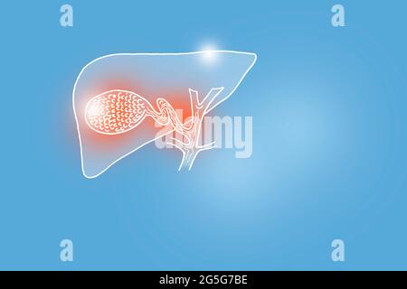 Von Hand gezeichnete Illustration der menschlichen Gallenblase auf hellblauem Hintergrund. Medizin, Wissenschaftsset mit menschlichen Hauptorganen mit leerem Kopierraum für Text Stockfoto