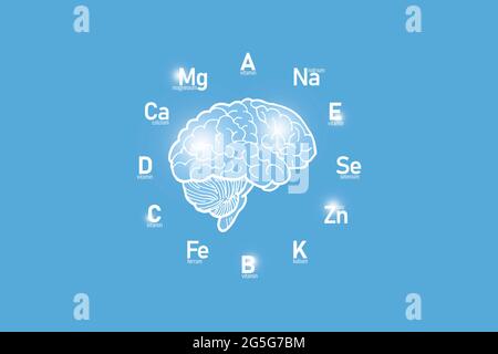 Stilisiertes Zifferblatt mit lebenswichtigen Vitaminen und Mikroelementen für die menschliche Gesundheit, handgezeichnetes Gehirn, hellblauer Hintergrund. Nachbau im Gesundheitswesen Stockfoto