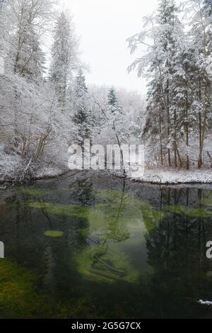 Saula blaue Quellen (siniallikad auf Estnisch) im Schneewinter Stockfoto