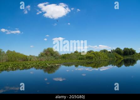 Wunderschöne Sommerlandschaft im Donaudelta mit dem Himmel, der sich im Wasser des Sees und in der Vegetation widerspiegelt. Stockfoto