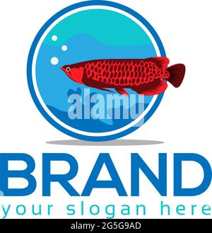 Vektor mit Arowana-Fischen. Vektorgrafik auf weißem Hintergrund Stock Vektor