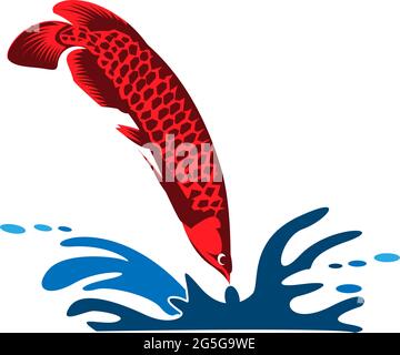 Vektor mit Arowana-Fischen. Vektorgrafik auf weißem Hintergrund Stock Vektor